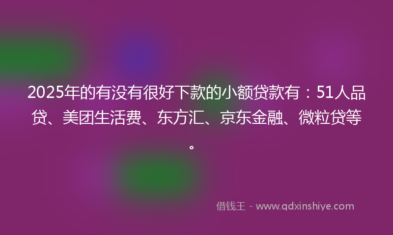 2025年的有没有很好下款的小额贷款有：51人品贷、美团生活费、东方汇、京东金融、微粒贷等。