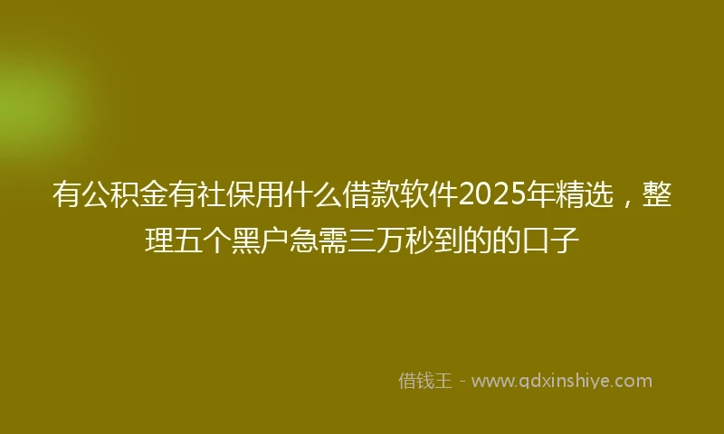 有公积金有社保用什么借款软件2025年精选，整理五个黑户急需三万秒到的的口子