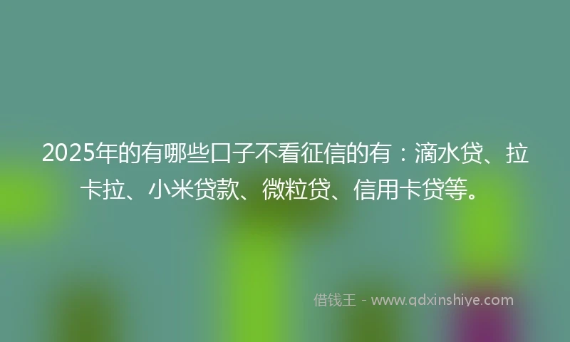 2025年的有哪些口子不看征信的有：滴水贷、拉卡拉、小米贷款、微粒贷、信用卡贷等。