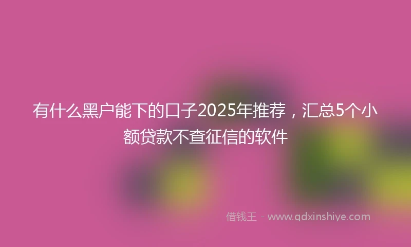 有什么黑户能下的口子2025年推荐,汇总5个小额贷款不查征信的软件