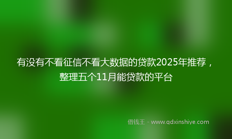 有没有不看征信不看大数据的贷款2025年推荐，整理五个11月能贷款的平台