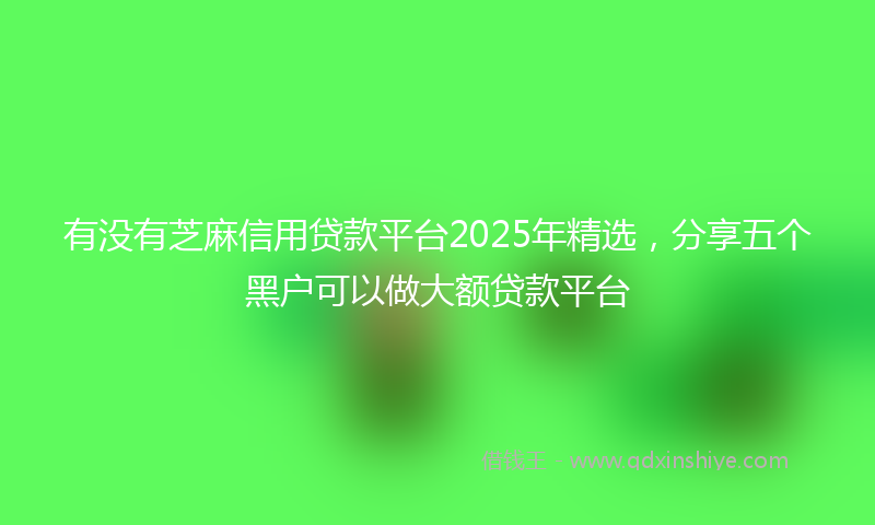 有没有芝麻信用贷款平台2025年精选，分享五个黑户可以做大额贷款平台