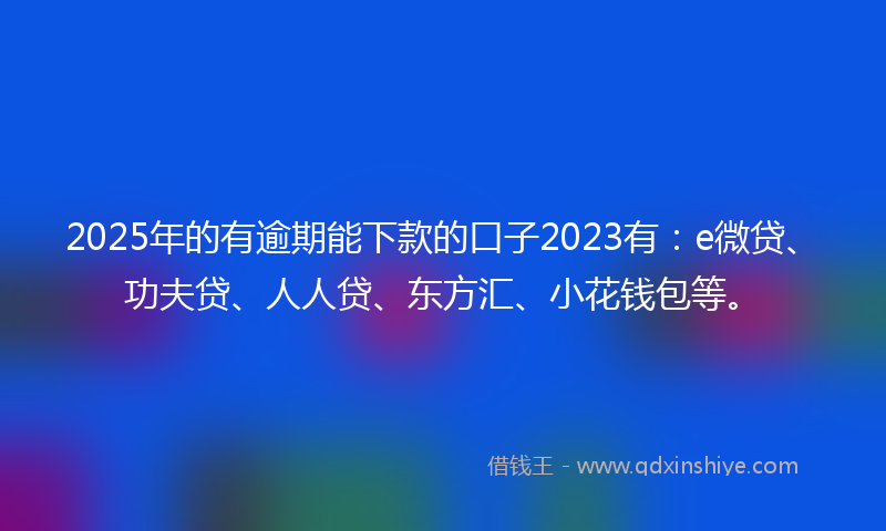 2025年的有逾期能下款的口子2023有：e微贷、功夫贷、人人贷、东方汇、小花钱包等。
