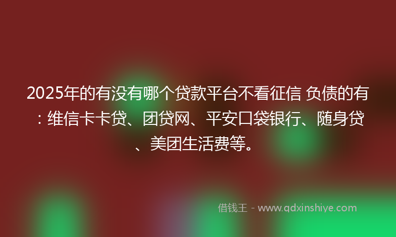 2025年的有没有哪个贷款平台不看征信 负债的有：维信卡卡贷、团贷网、平安口袋银行、随身贷、美团生活费等。