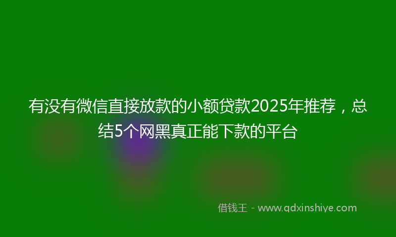 有没有微信直接放款的小额贷款2025年推荐，总结5个网黑真正能下款的平台