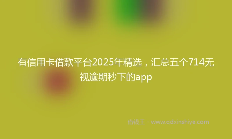 有信用卡借款平台2025年精选，汇总五个714无视逾期秒下的app