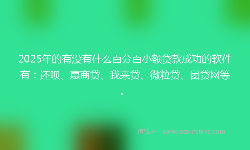2025年的有没有什么百分百小额贷款成功的软件有:还呗、惠商贷、我来贷、微粒贷、团贷网等。