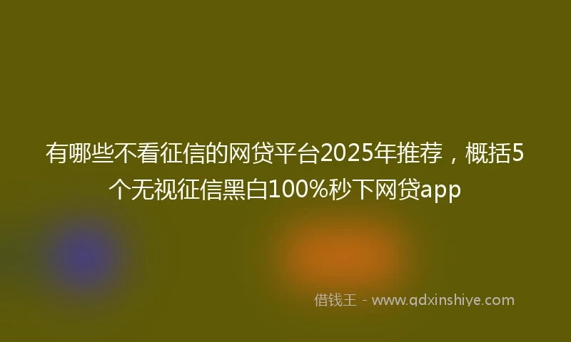 有哪些不看征信的网贷平台2025年推荐，概括5个无视征信黑白100%秒下网贷app