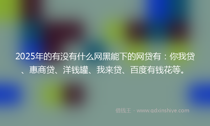 2025年的有没有什么网黑能下的网贷有：你我贷、惠商贷、洋钱罐、我来贷、百度有钱花等。