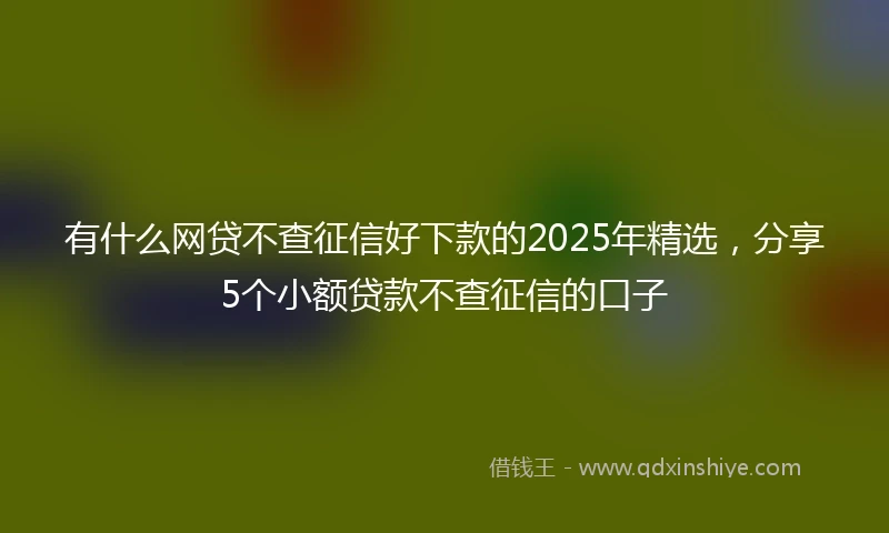 有什么网贷不查征信好下款的2025年精选，分享5个小额贷款不查征信的口子