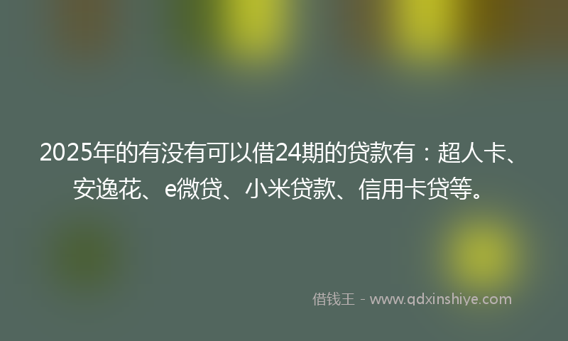 2025年的有没有可以借24期的贷款有：超人卡、安逸花、e微贷、小米贷款、信用卡贷等。