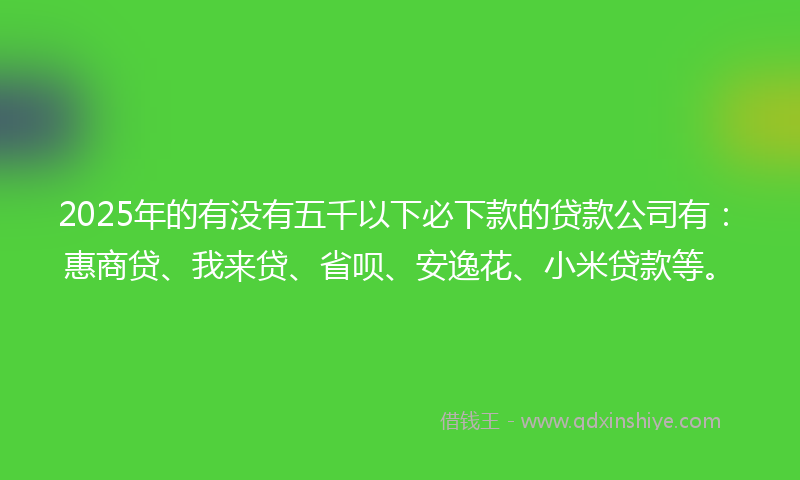 2025年的有没有五千以下必下款的贷款公司有：惠商贷、我来贷、省呗、安逸花、小米贷款等。