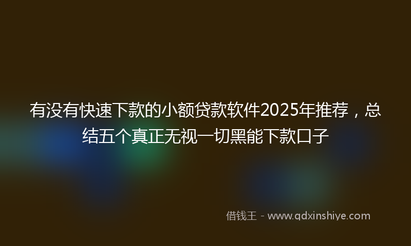 有没有快速下款的小额贷款软件2025年推荐，总结五个真正无视一切黑能下款口子