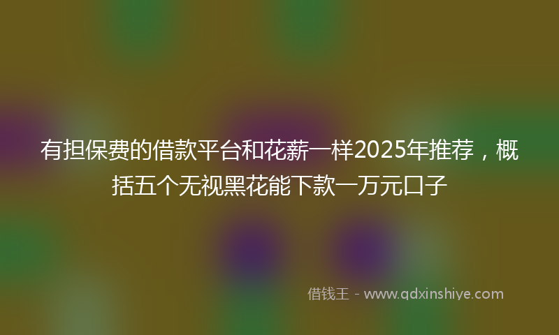 有担保费的借款平台和花薪一样2025年推荐，概括五个无视黑花能下款一万元口子