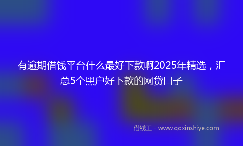 有逾期借钱平台什么最好下款啊2025年精选，汇总5个黑户好下款的网贷口子