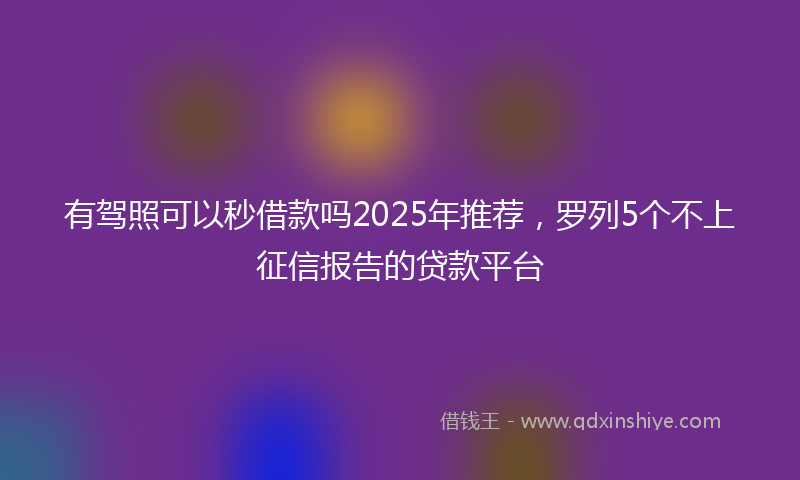有驾照可以秒借款吗2025年推荐，罗列5个不上征信报告的贷款平台