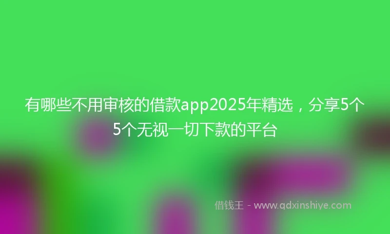 有哪些不用审核的借款app2025年精选，分享5个5个无视一切下款的平台