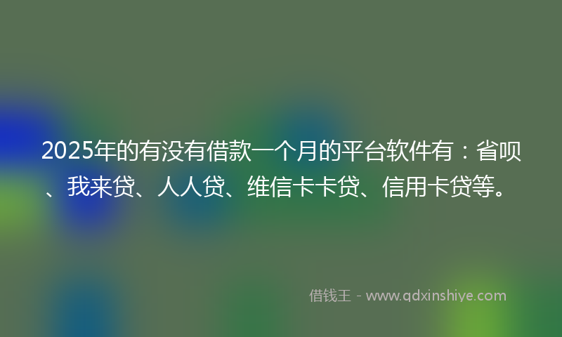 2025年的有没有借款一个月的平台软件有：省呗、我来贷、人人贷、维信卡卡贷、信用卡贷等。