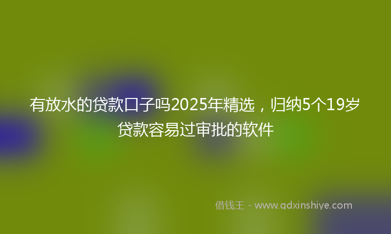 有放水的贷款口子吗2025年精选，归纳5个19岁贷款容易过审批的软件
