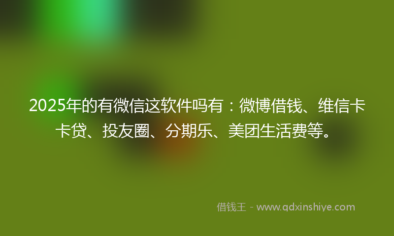 2025年的有微信这软件吗有：微博借钱、维信卡卡贷、投友圈、分期乐、美团生活费等。