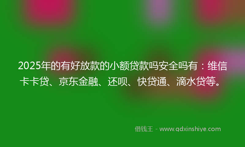 2025年的有好放款的小额贷款吗安全吗有：维信卡卡贷、京东金融、还呗、快贷通、滴水贷等。