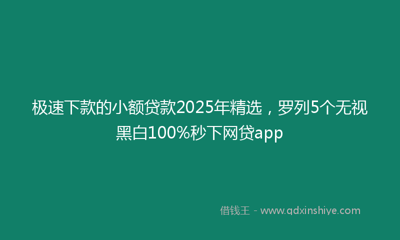 极速下款的小额贷款2025年精选，罗列5个无视黑白100%秒下网贷app