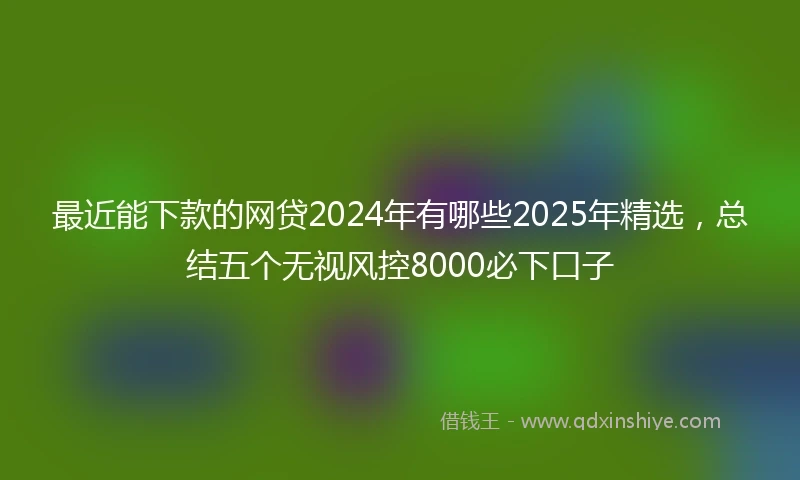 最近能下款的网贷2024年有哪些2025年精选，总结五个无视风控8000必下口子