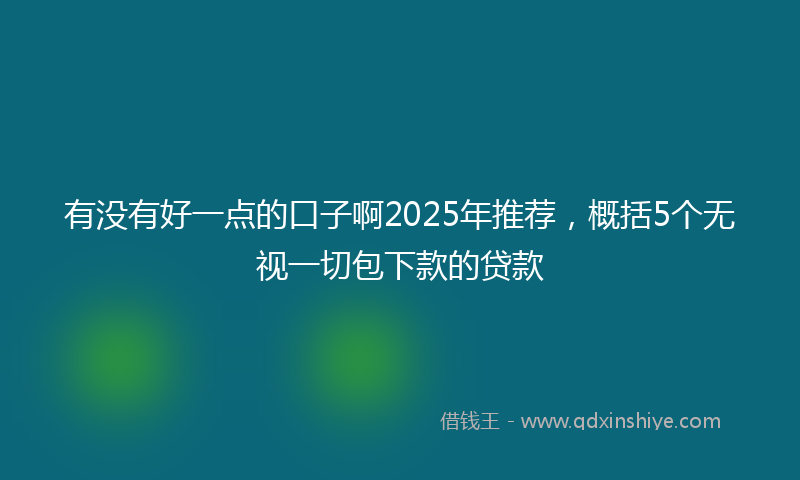 有没有好一点的口子啊2025年推荐，概括5个无视一切包下款的贷款