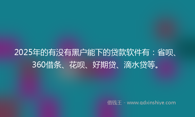 2025年的有没有黑户能下的贷款软件有：省呗、360借条、花呗、好期贷、滴水贷等。