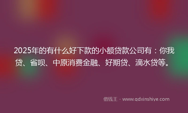 2025年的有什么好下款的小额贷款公司有：你我贷、省呗、中原消费金融、好期贷、滴水贷等。
