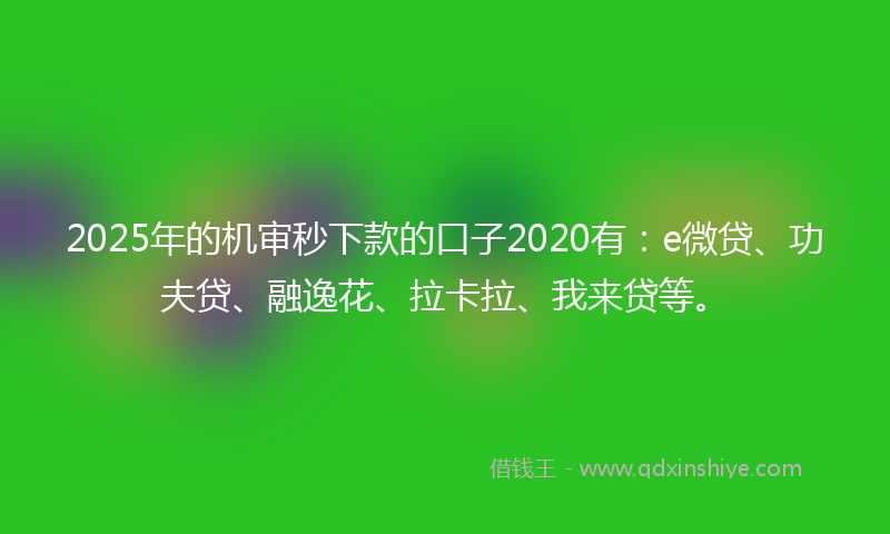 2025年的机审秒下款的口子2020有：e微贷、功夫贷、融逸花、拉卡拉、我来贷等。