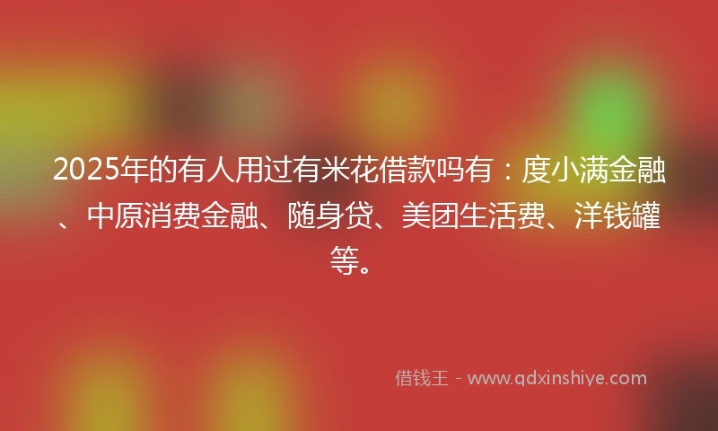 2025年的有人用过有米花借款吗有：度小满金融、中原消费金融、随身贷、美团生活费、洋钱罐等。