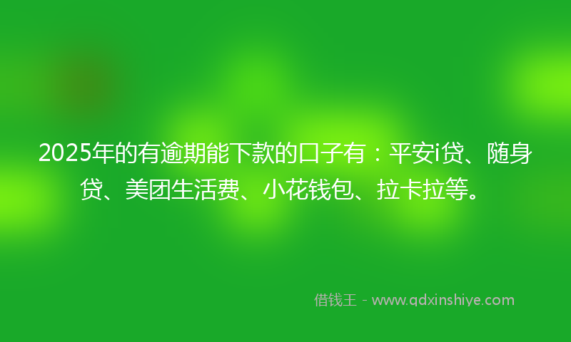2025年的有逾期能下款的口子有：平安i贷、随身贷、美团生活费、小花钱包、拉卡拉等。