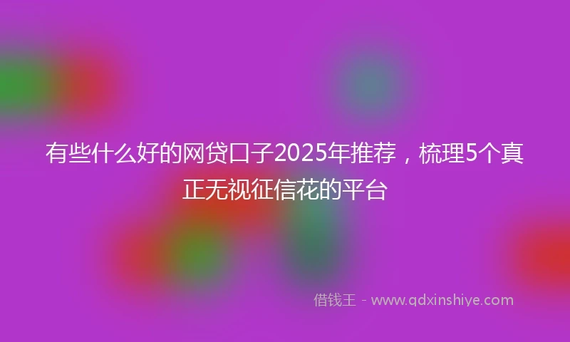 有些什么好的网贷口子2025年推荐，梳理5个真正无视征信花的平台