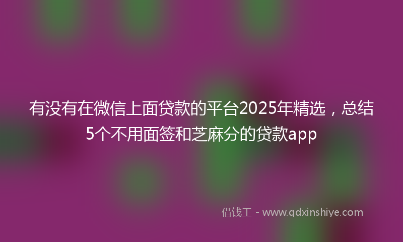 有没有在微信上面贷款的平台2025年精选，总结5个不用面签和芝麻分的贷款app