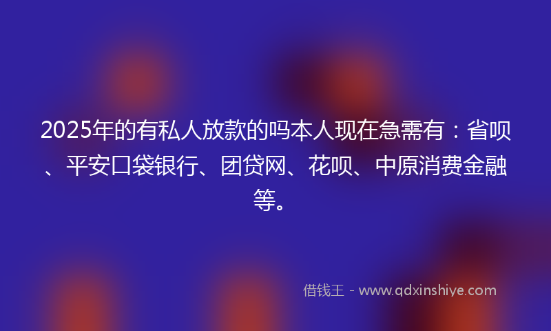 2025年的有私人放款的吗本人现在急需有：省呗、平安口袋银行、团贷网、花呗、中原消费金融等。