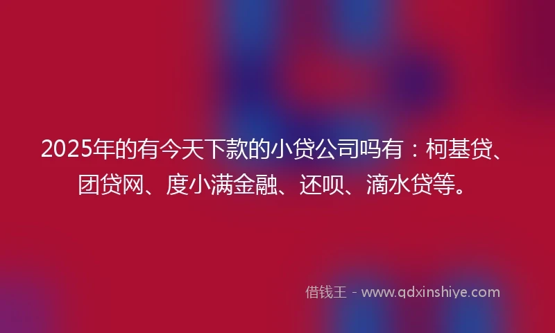 2025年的有今天下款的小贷公司吗有：柯基贷、团贷网、度小满金融、还呗、滴水贷等。