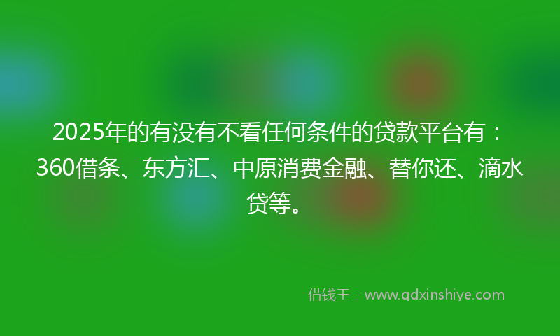 2025年的有没有不看任何条件的贷款平台有：360借条、东方汇、中原消费金融、替你还、滴水贷等。