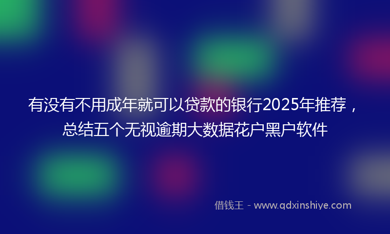 有没有不用成年就可以贷款的银行2025年推荐，总结五个无视逾期大数据花户黑户软件
