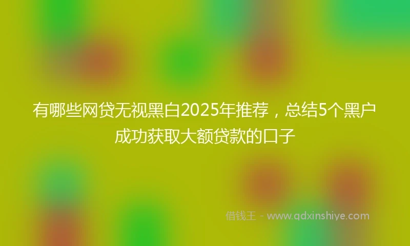 有哪些网贷无视黑白2025年推荐，总结5个黑户成功获取大额贷款的口子