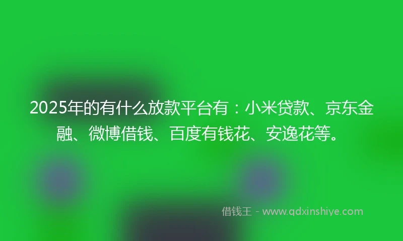 2025年的有什么放款平台有：小米贷款、京东金融、微博借钱、百度有钱花、安逸花等。