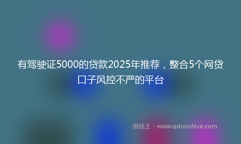 有驾驶证5000的贷款2025年推荐，整合5个网贷口子风控不严的平台