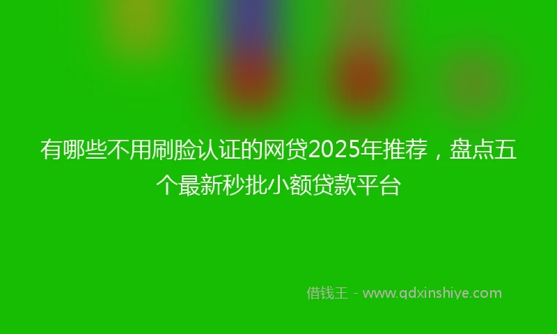 有哪些不用刷脸认证的网贷2025年推荐，盘点五个最新秒批小额贷款平台