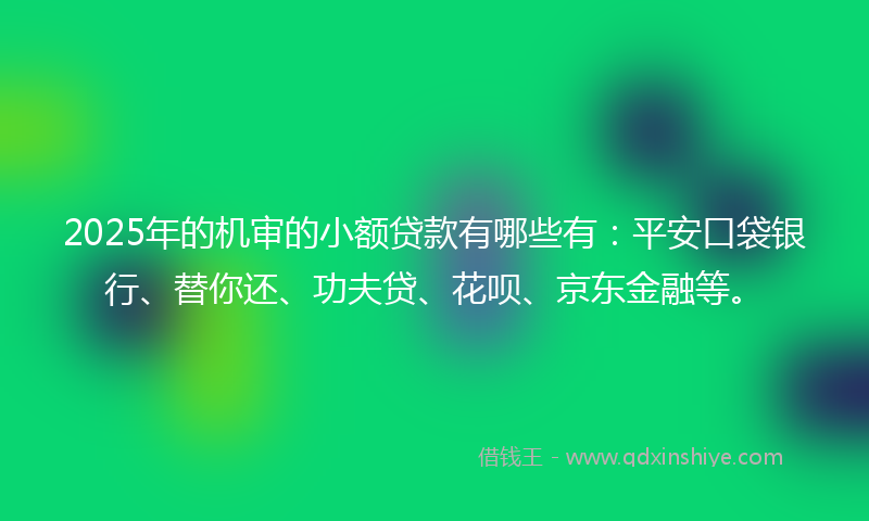 2025年的机审的小额贷款有哪些有：平安口袋银行、替你还、功夫贷、花呗、京东金融等。