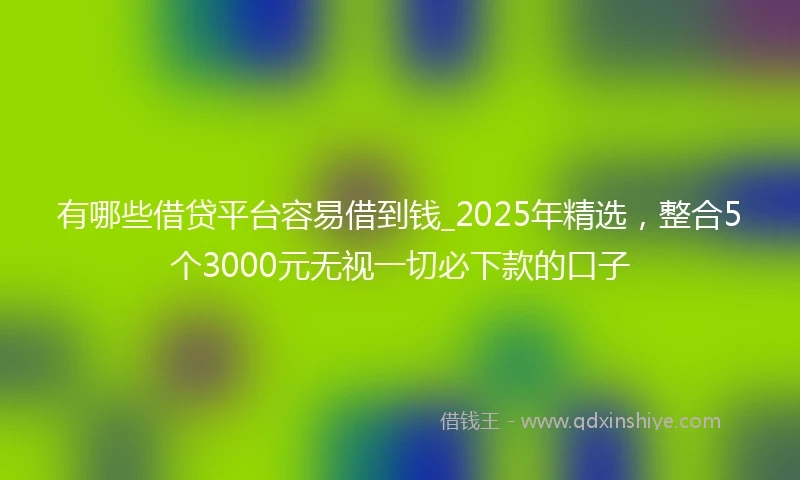有哪些借贷平台容易借到钱_2025年精选，整合5个3000元无视一切必下款的口子
