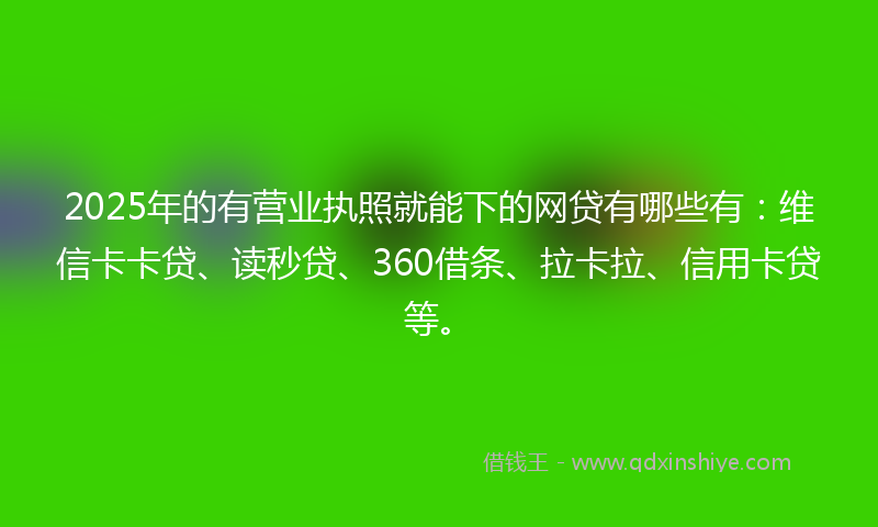 2025年的有营业执照就能下的网贷有哪些有：维信卡卡贷、读秒贷、360借条、拉卡拉、信用卡贷等。