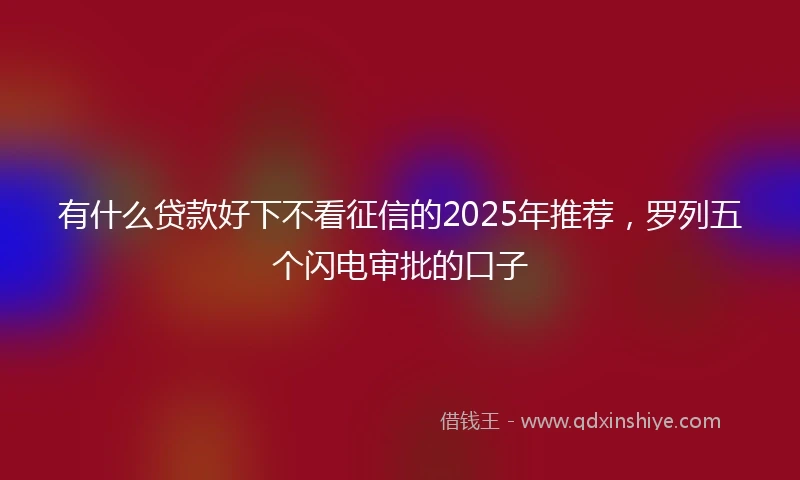 有什么贷款好下不看征信的2025年推荐，罗列五个闪电审批的口子