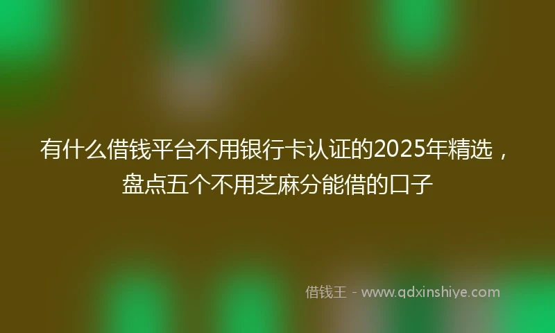 有什么借钱平台不用银行卡认证的2025年精选，盘点五个不用芝麻分能借的口子