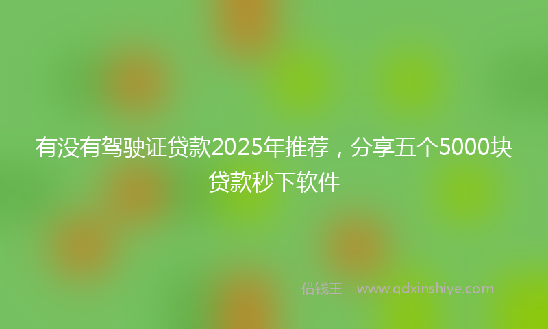 有没有驾驶证贷款2025年推荐，分享五个5000块贷款秒下软件