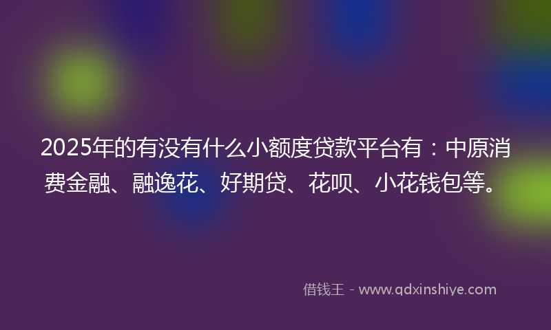 2025年的有没有什么小额度贷款平台有：中原消费金融、融逸花、好期贷、花呗、小花钱包等。